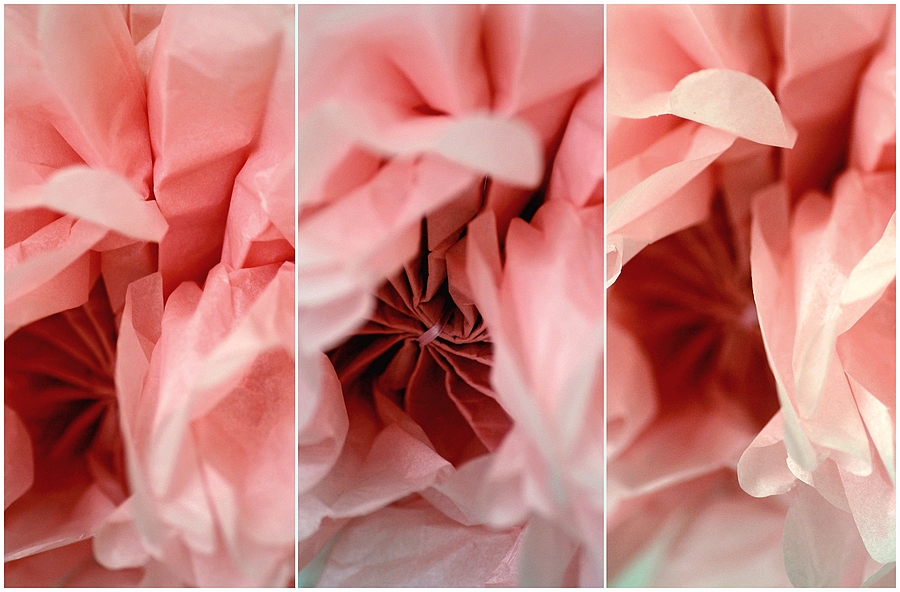 paperflower, 2A