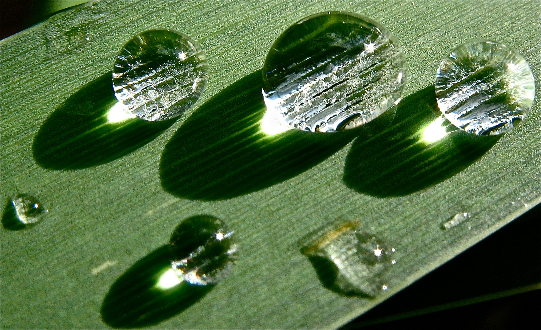 Paperweights