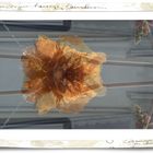 Papierblumen