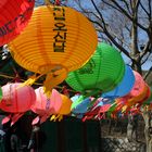 Papierlaternen vor einem Tempel in Seoul