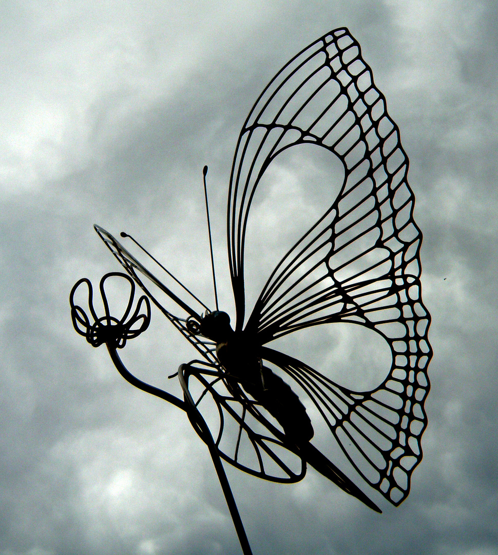 Papillon filiforme dans le ciel du Château de Gilly - Bourgogne...