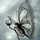 Papillon filiforme dans le ciel du Château de Gilly - Bourgogne...