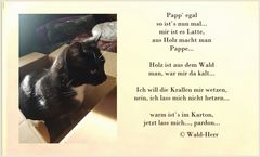 Papp` egal... meint Wald-Herr