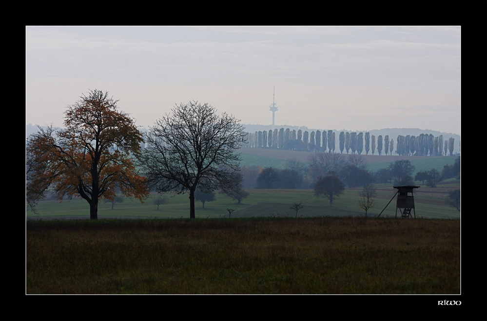 Pappelallee im Dunst des Abends....