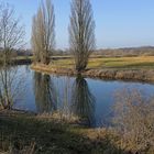 Pappeln spiegeln sich in der Lippe zwischen Hamm und Werne