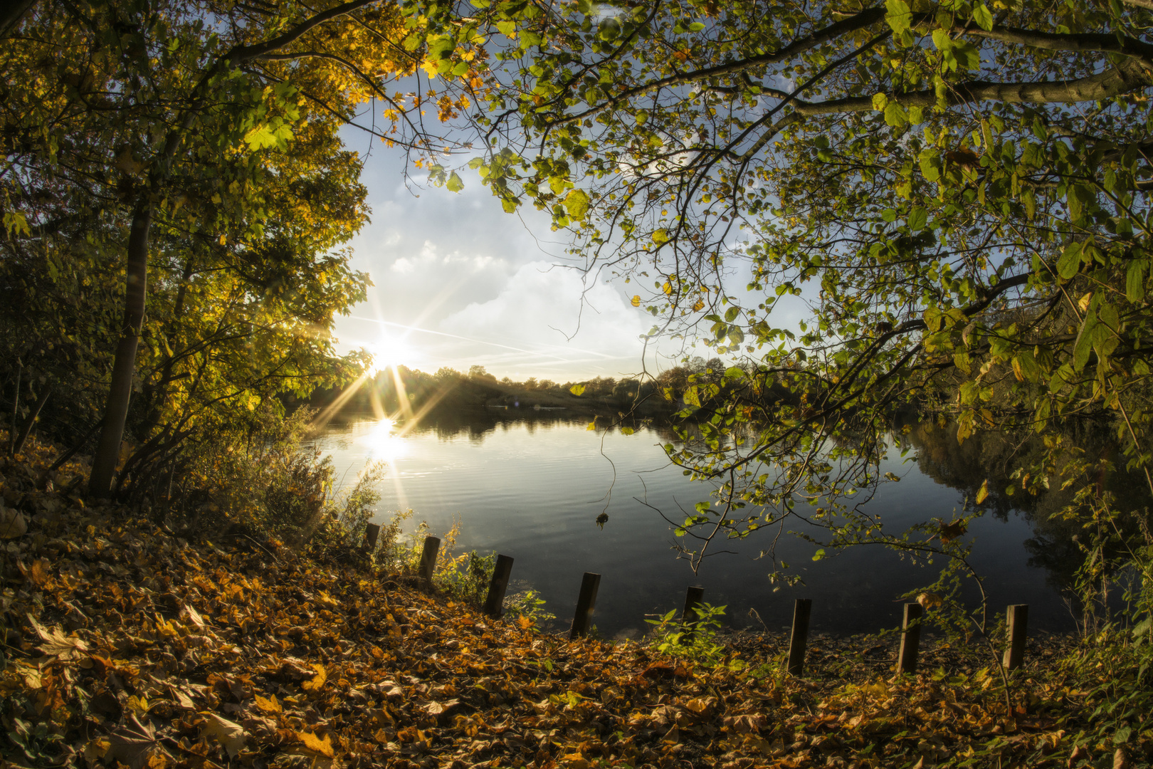 Pappelsee