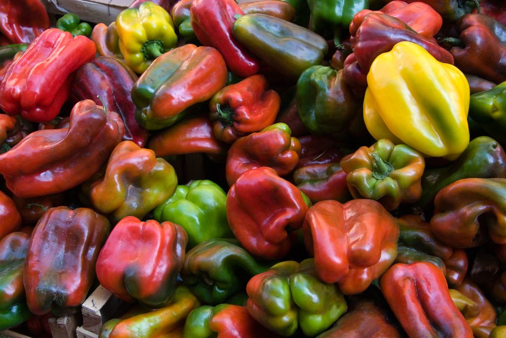 Paprika - auf dem Markt in Catania von Matthias Gößmann 