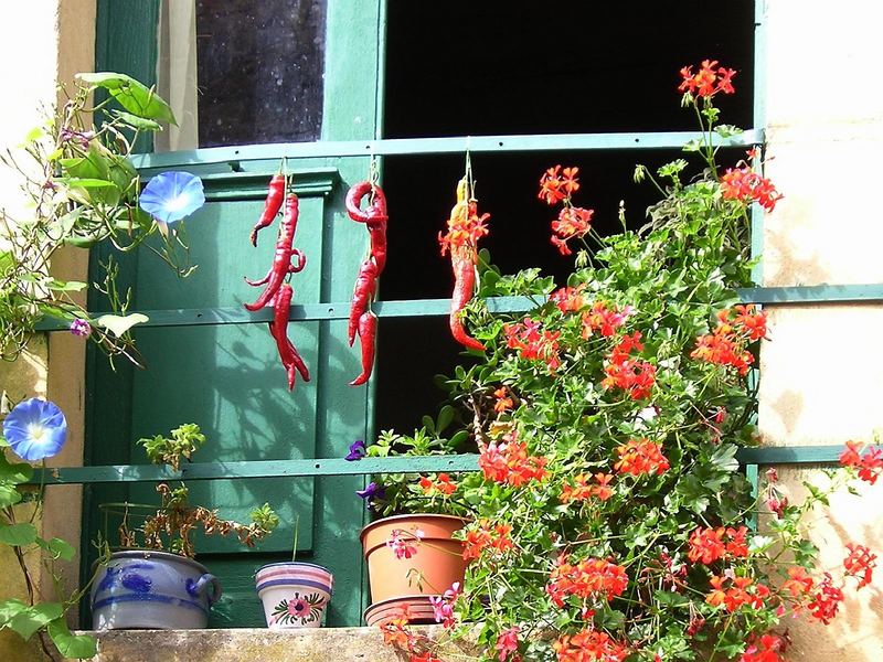 Paprika & Co. Foto & Bild europe, france, aquitaine Bilder auf