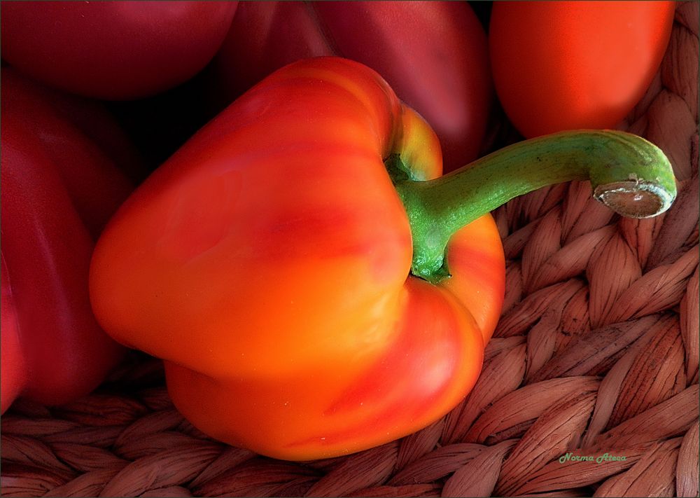 Paprika mit Frühlingslook 