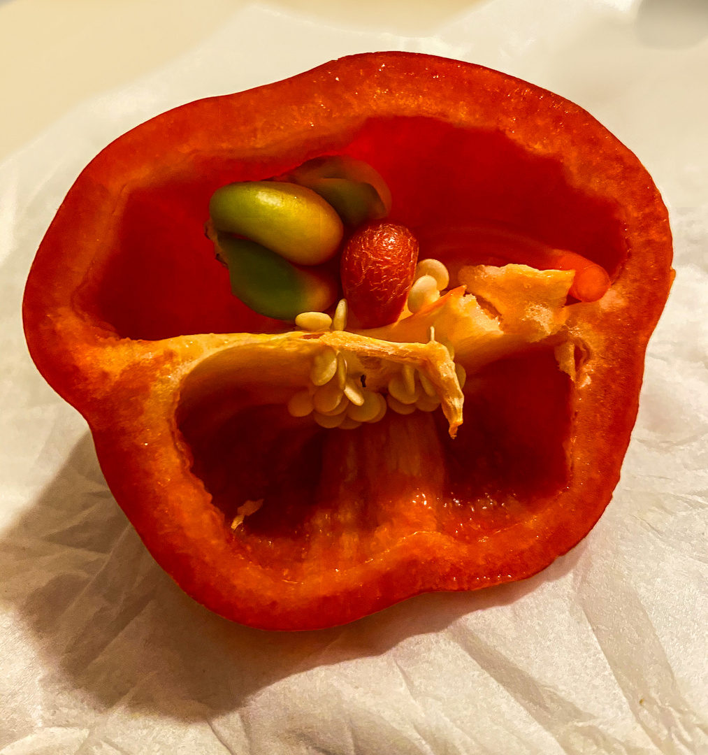 Paprika mit Innenleben