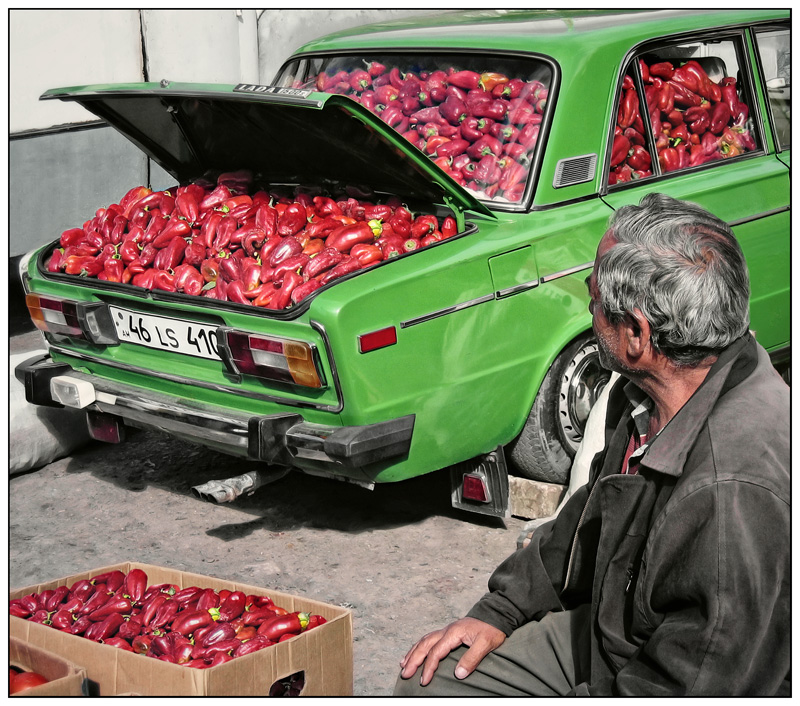 Paprika pragmatisch von Sandro Fabiani 