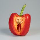 Paprika rot