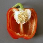 Paprika rot