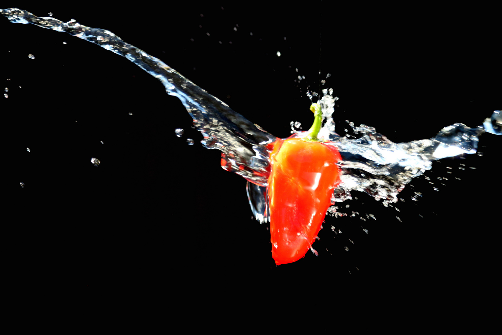 Paprika Splash