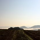 Papstdorf im Morgennebel