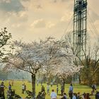 Papstkreuz im Donaupark 3