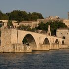 Papstpalast und Pont St Benezet in Avignon