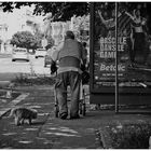 Papy résiste aux pub