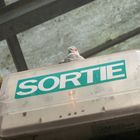 par ici la sortie