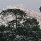 Par la fenêtre vers 17h