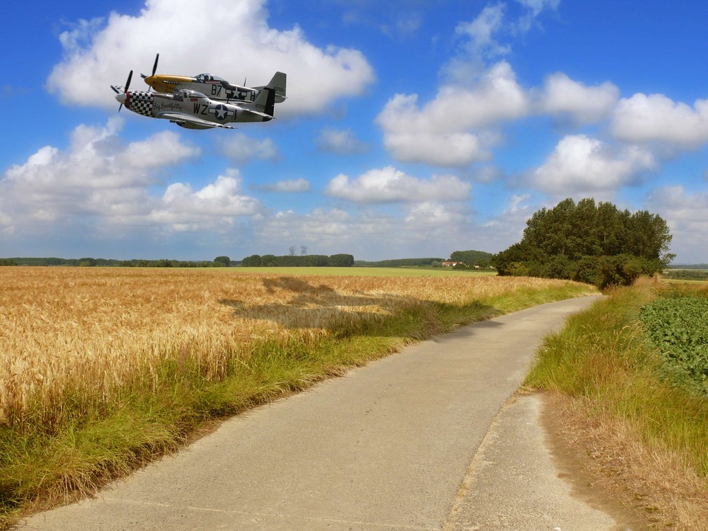 Par la route ou par les airs ?