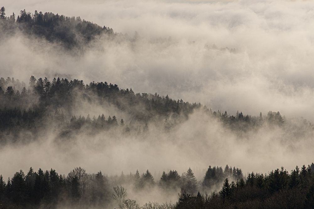 Par monts et par brumes