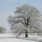 Par un après-midi de janvier