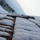 Par un matin d'avril sur les toits