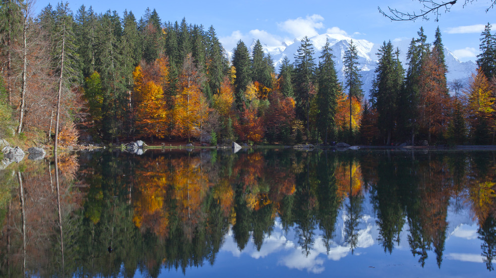 Par une belle journée d'automne