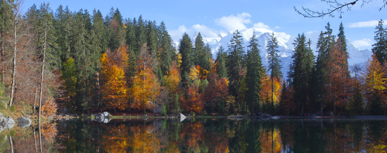 Par une belle journée d'automne (format panoramique FC)