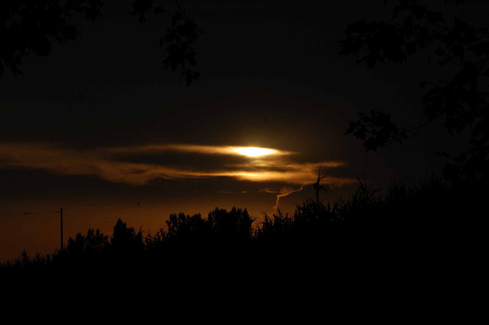 Par une belle nuit à la campagne