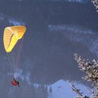 Para Glider in den Alpen