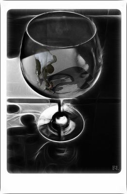 para leonorakarr-copa n.4