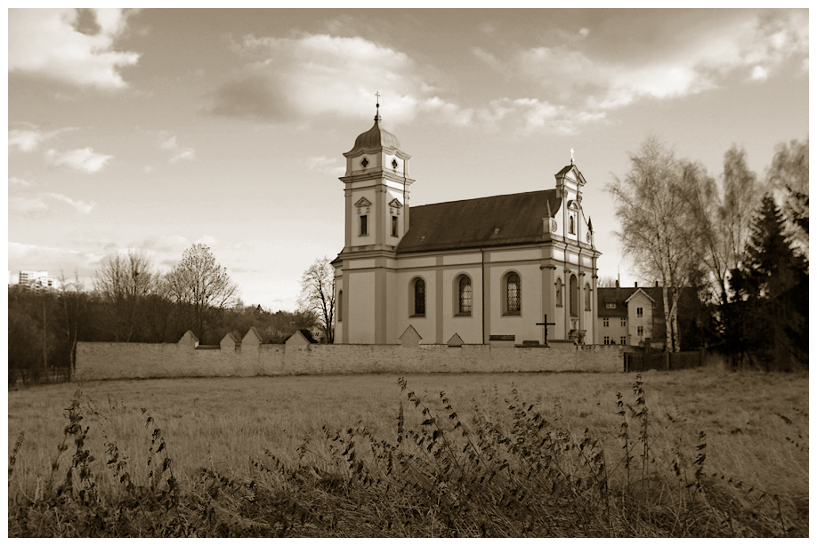 - para mis abuelos -