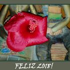 PARA TODO FOTOCOMMUNITY, FELIZ AÑO 2018