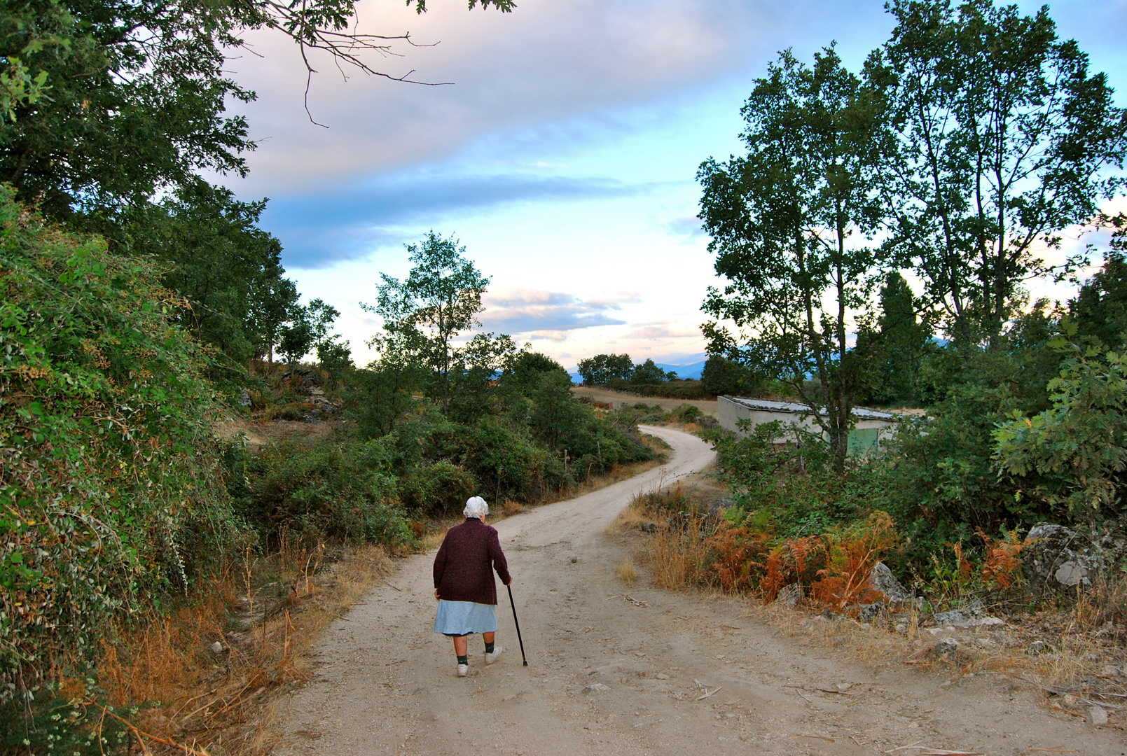 para una mujer excepcional caminante incansable y mejor acompañante  matuti 82 años