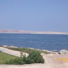 paracas