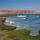 Paracas Halbinsel (2)