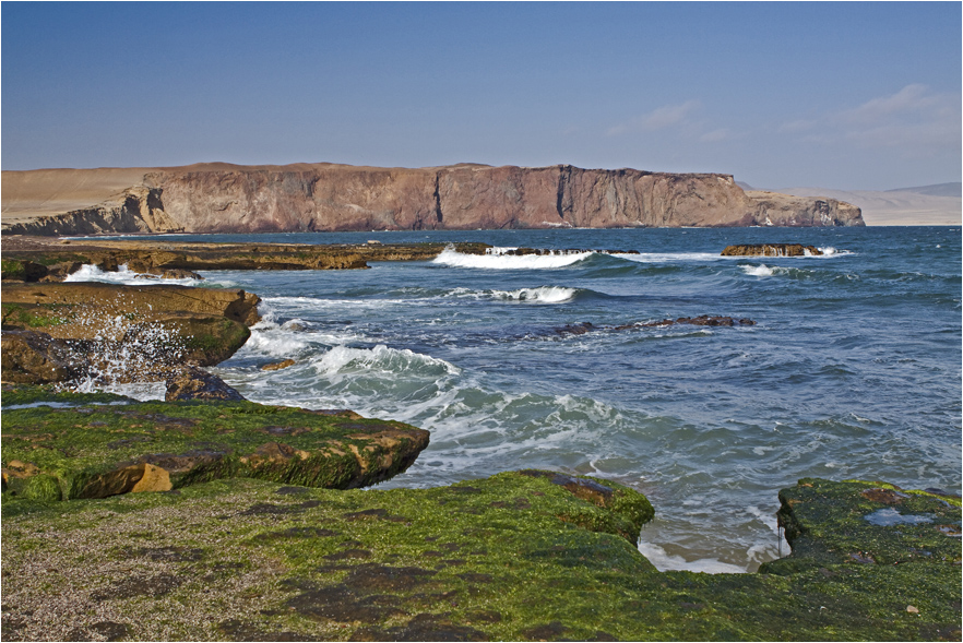 Paracas Halbinsel (2)