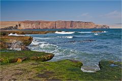 Paracas Halbinsel (2)