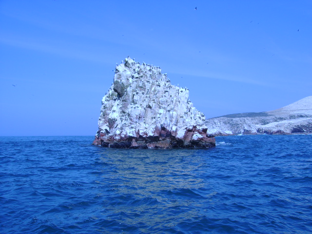 Paracas-Ica, Perú