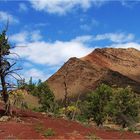 *** Parachilna Gorge / Flinders Ranges SA ***