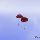 Parachutistes