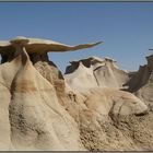 Parade at Bisti