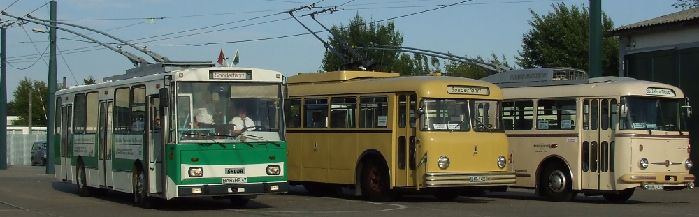 Parade der Busse