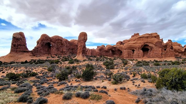 Parade der Elefanten