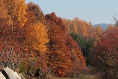 Parade der Herbstfarben