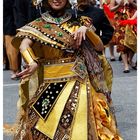 Parade der Kulturen 2012 (III)