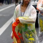 Parade der Kulturen ( VIII )