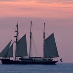 PARADE IM ABENDSONNENLICHT